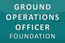 Grounds Operations Officer Foundation