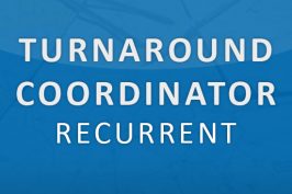 Turnaround Coordinator - Recurrent